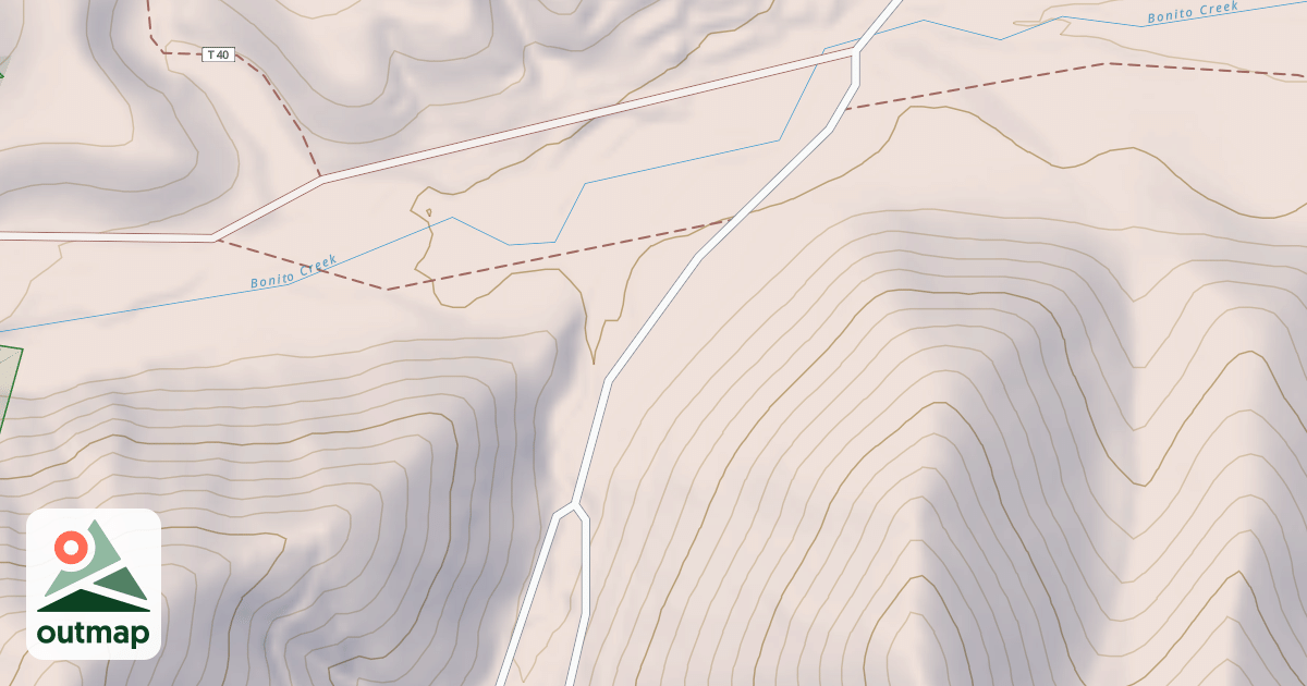 Map of USFS National Forest System Roads {55B638F4-8AB8-42F5-A121-0BA4C5B56691}