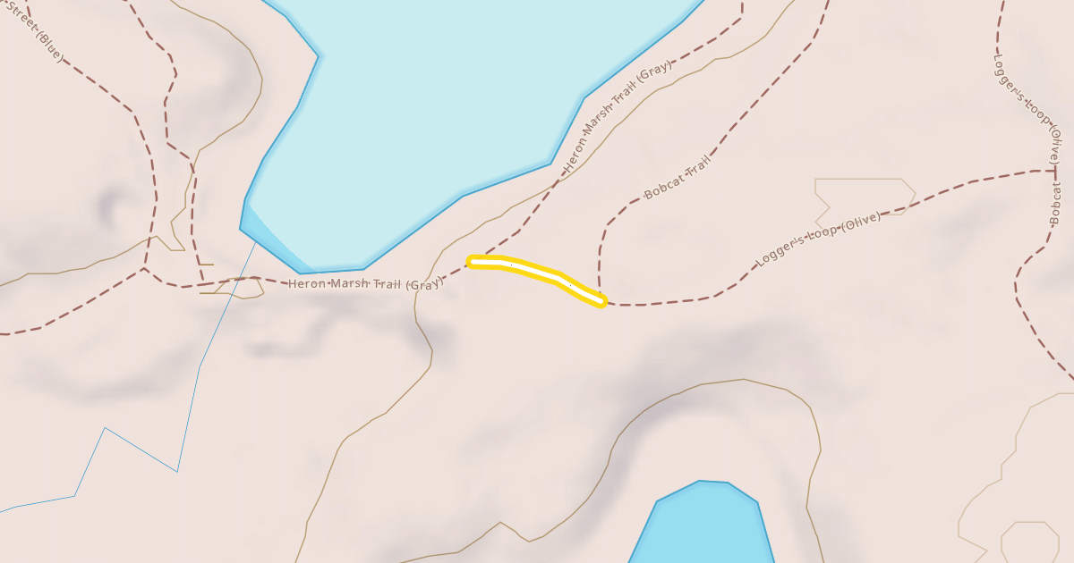 Map preview of Logger's Loop (Olive)