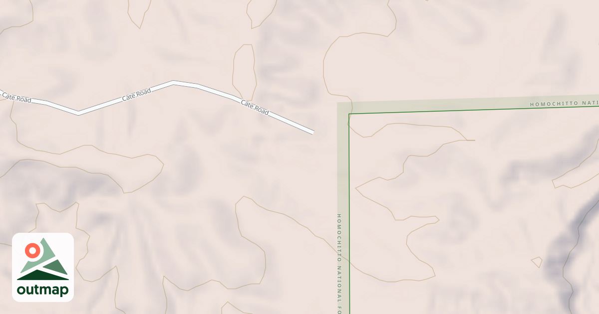 Map of USFS National Forest System Roads {50A12E01-AA4D-4B5D-956C-48B94E499472}