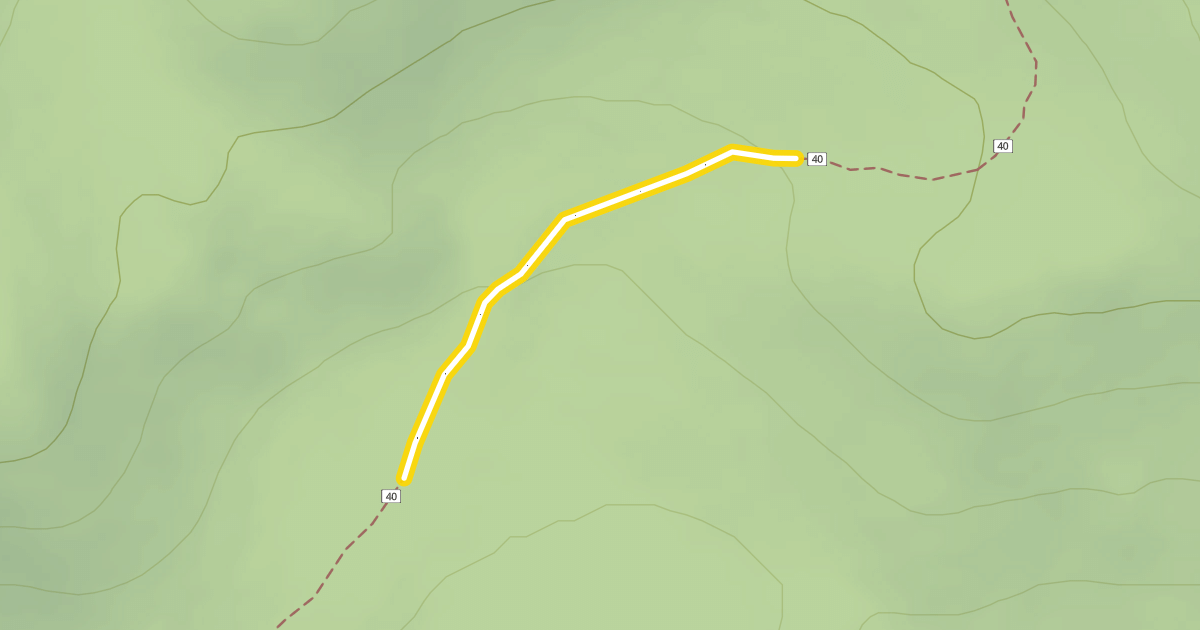 Map preview of Swampy-Dutchman Trail #40