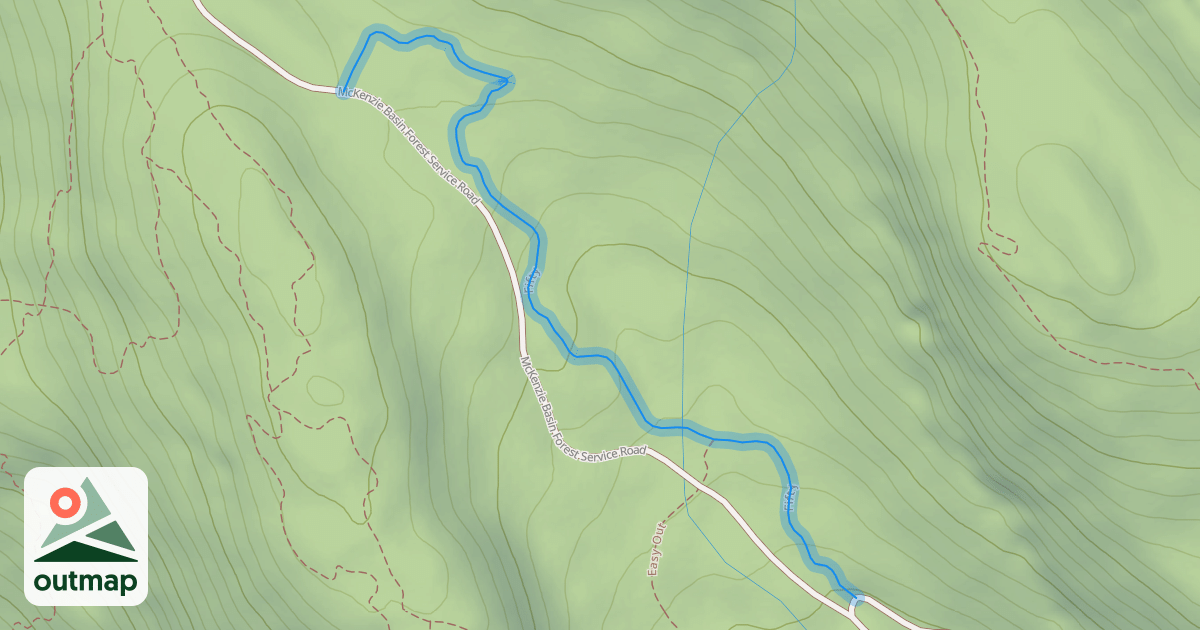 Map of Fifty