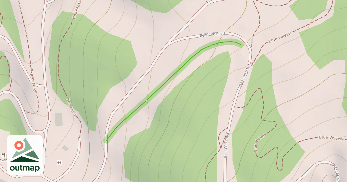 Map of Bear Cub