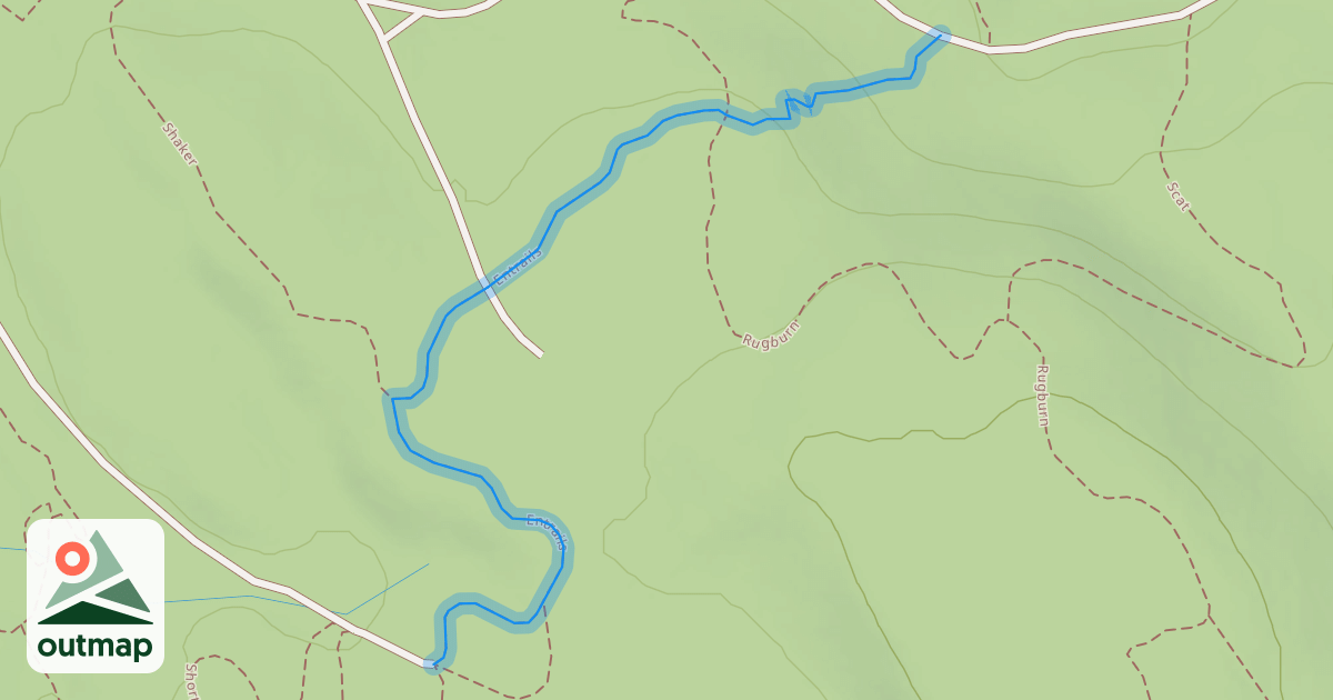 Map of Entrails