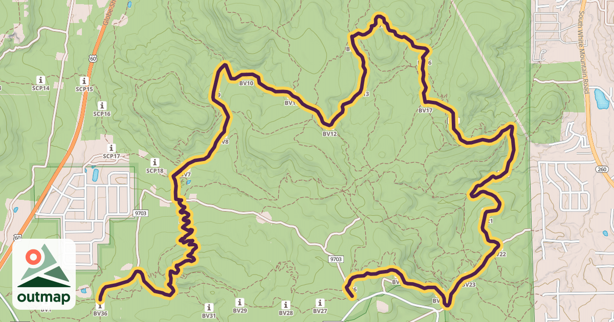Map of Buena Vista Trail #637