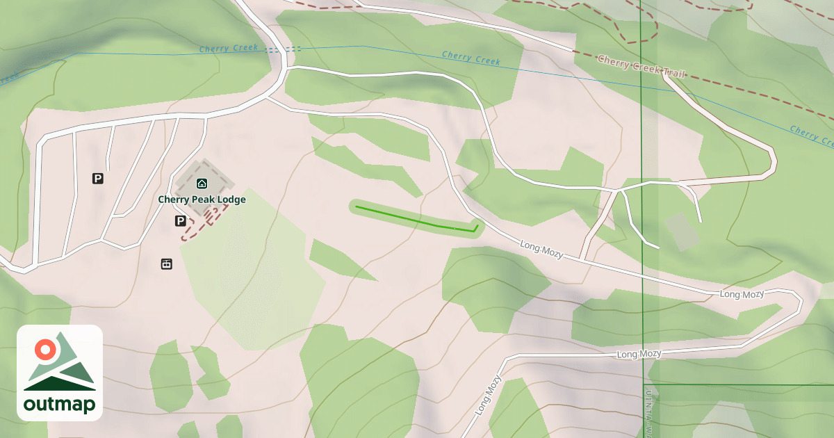 Map of Think Young