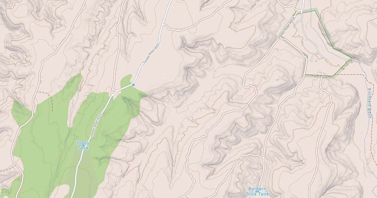 Map preview of USFS National Forest System Roads {AFBB2C2B-55AB-4283-BEEE-32426EAD2971}