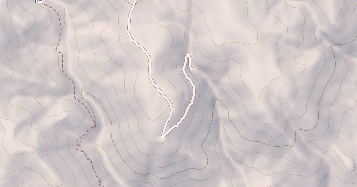 Map preview of BLM National GTLF Public Motorized Roads 130a7c93-a57a-4171-aae7-c5ca3f39ed4f