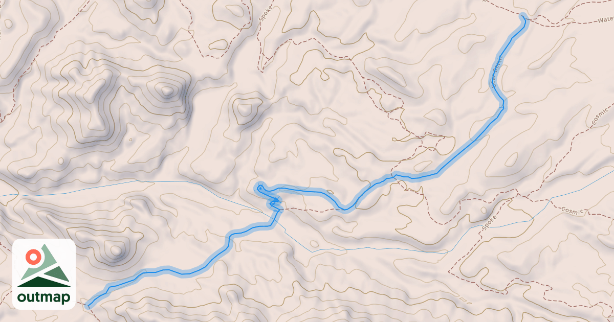 Map of Beer Bottle