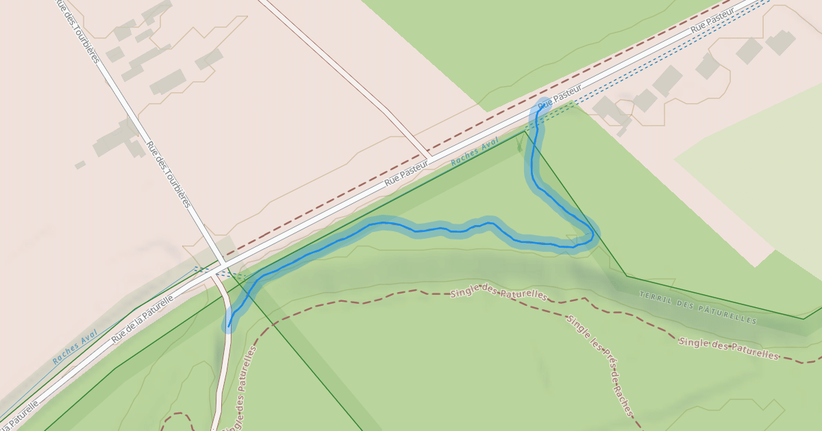 Map preview of Single Pasteur