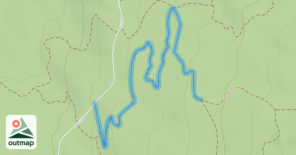 Map of Intestine