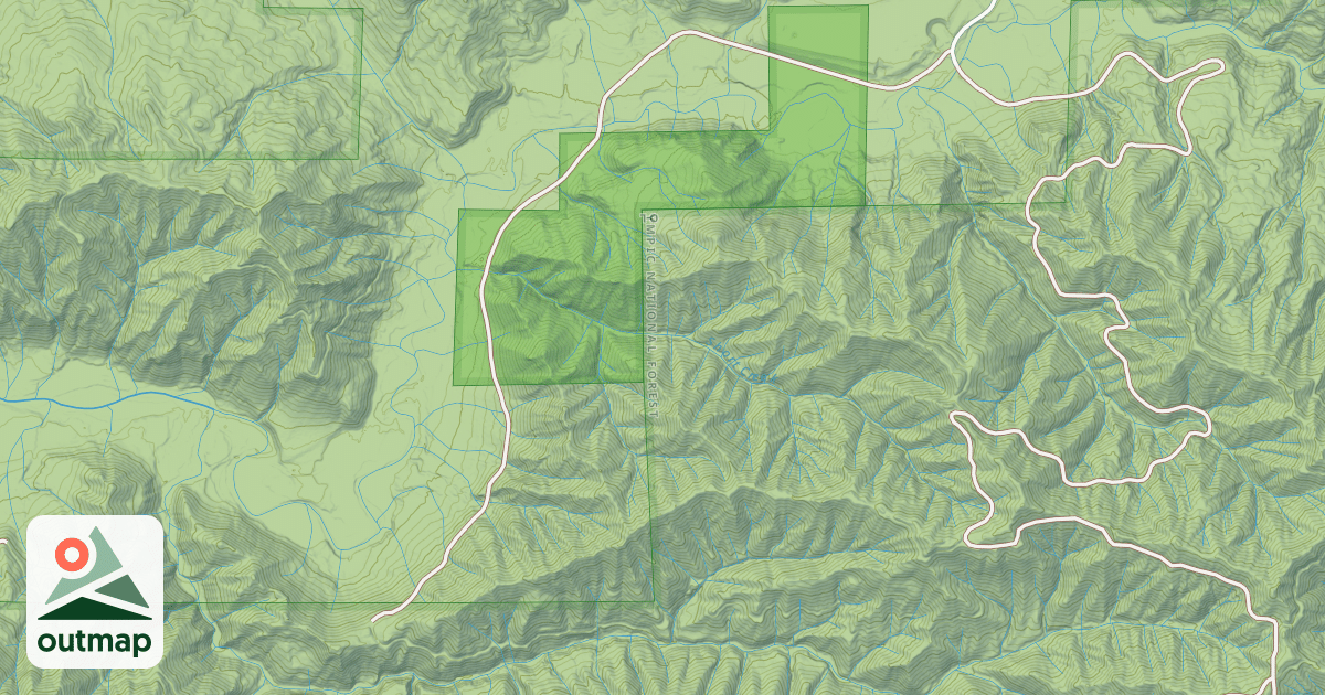 Map of USFS National Forest System Roads {FC048429-6821-4CB7-835D-DFC6ABEEFF6B}