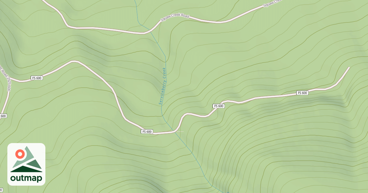 Map of BALD CAMP T.S.