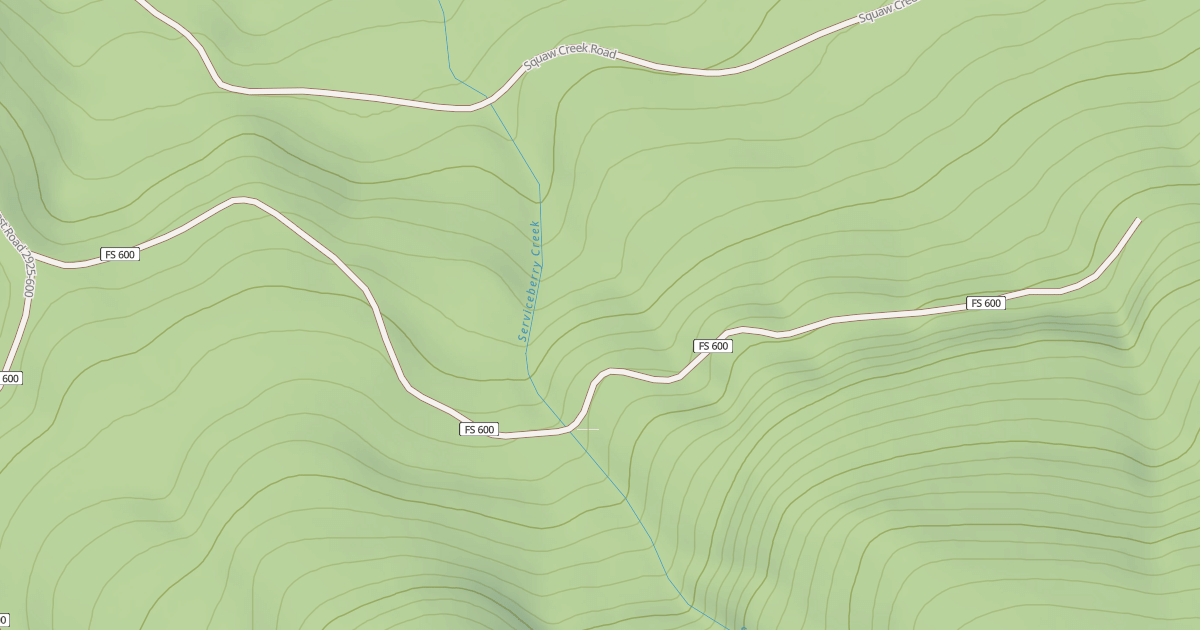 Map preview of BALD CAMP T.S.