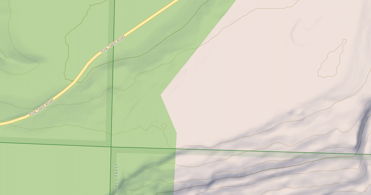 Map preview of USFS National Forest System Roads {439F03B9-7441-4149-A049-7D135023D4B4}