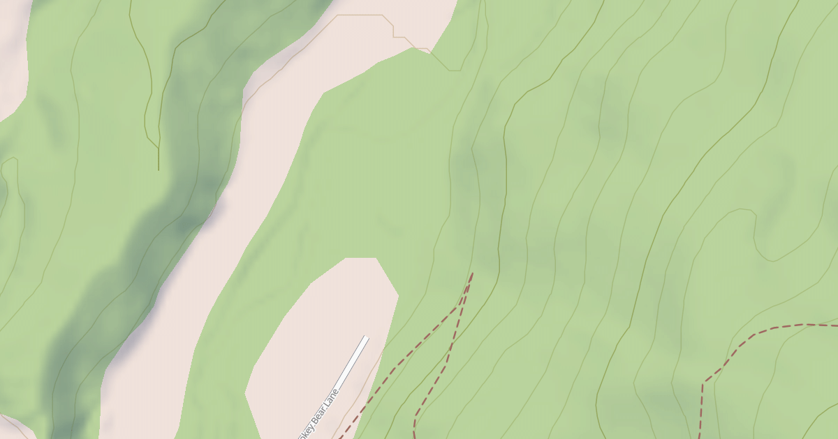 Map preview of SMOKEY BEAR ROAD