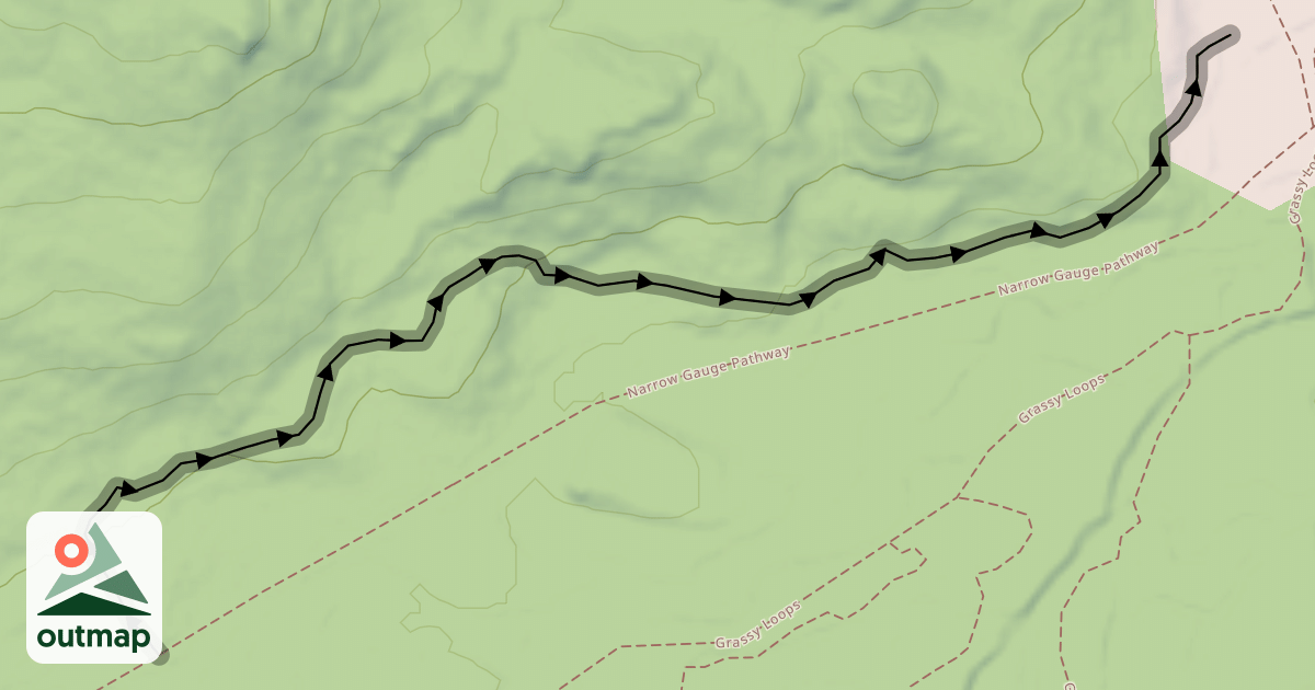 Map of Snowy Loops