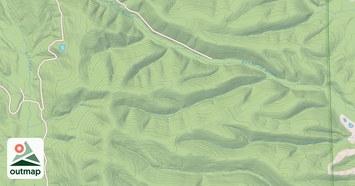 Map of BLUE SPRINGS BR. D