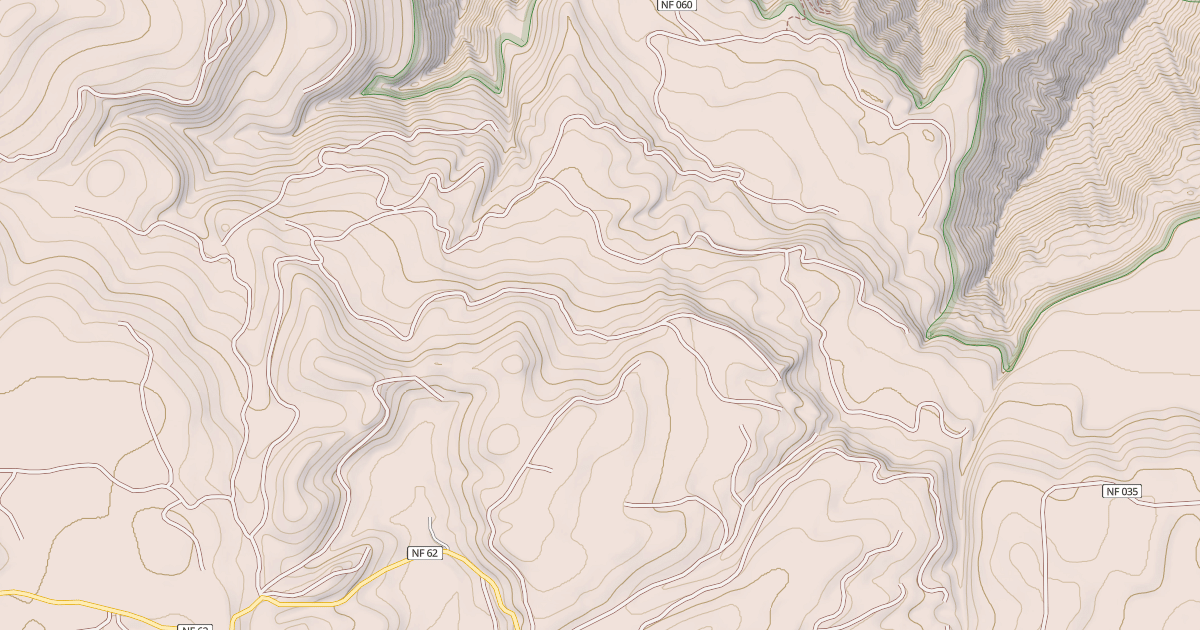 Map preview of USFS Motor Vehicle Use Map Roads {58DCFE91-4E57-4D0B-89DC-42C23E813871}
