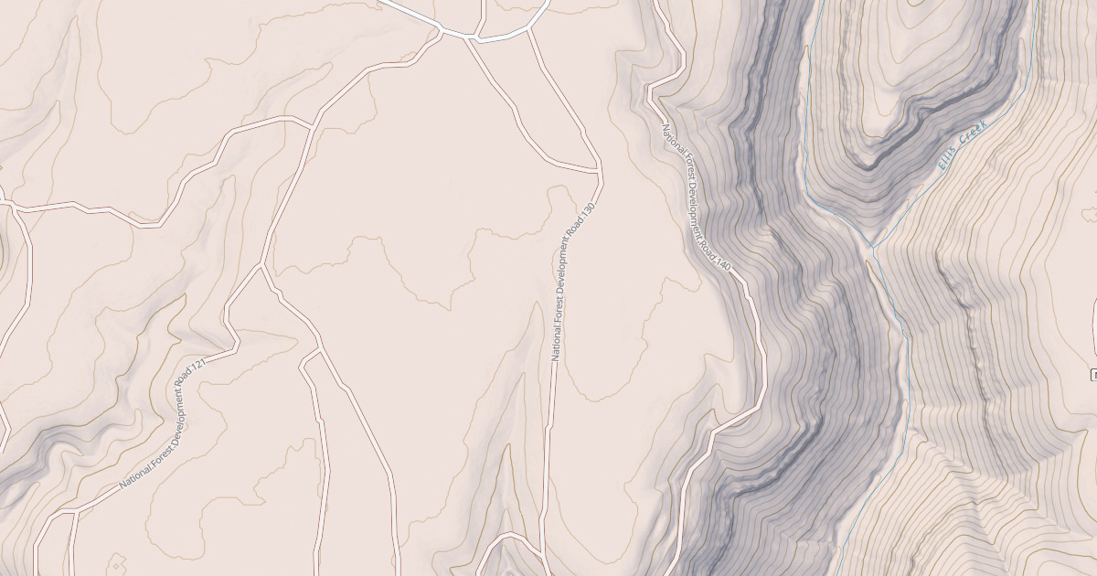 Map preview of USFS National Forest System Roads {6FC8A33D-06F0-4D9A-A51C-A113B13B58C5}