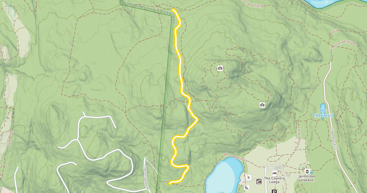 Map preview of A20 Jackrabbit