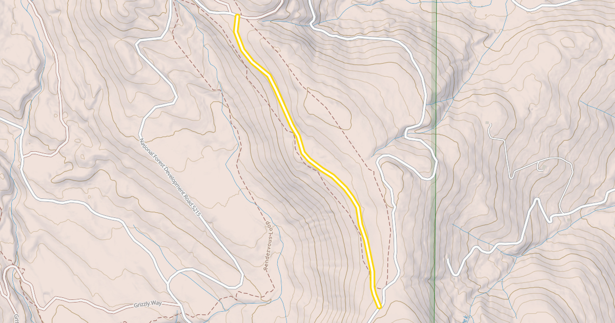 Map preview of National Forest Development Road 160