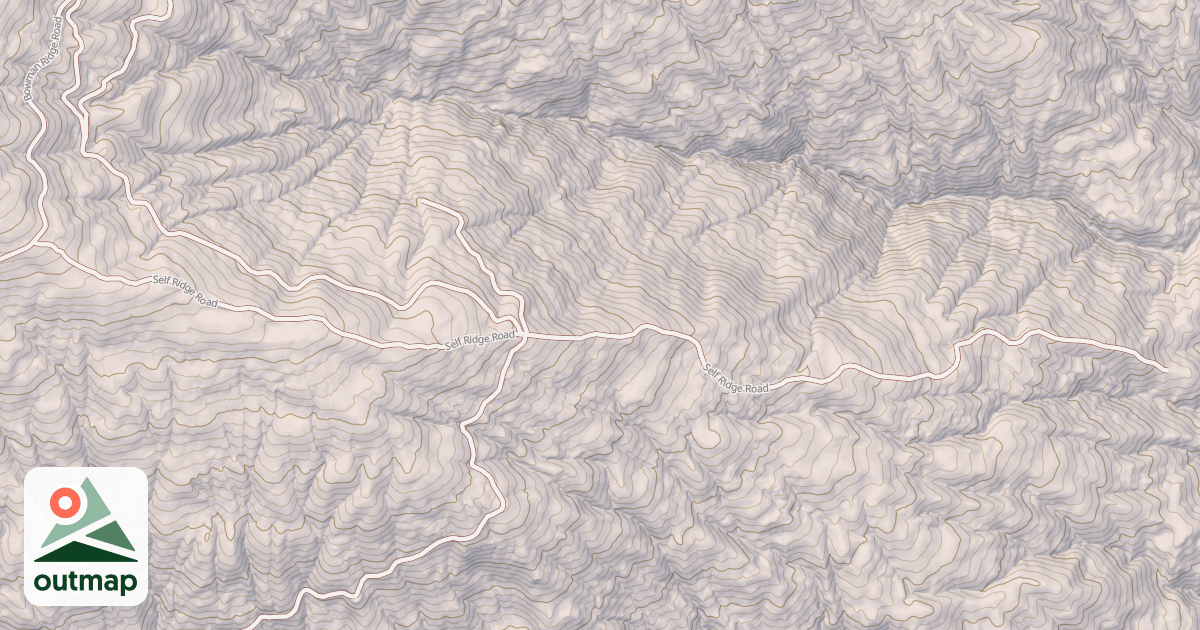 Map of SELF RIDGE