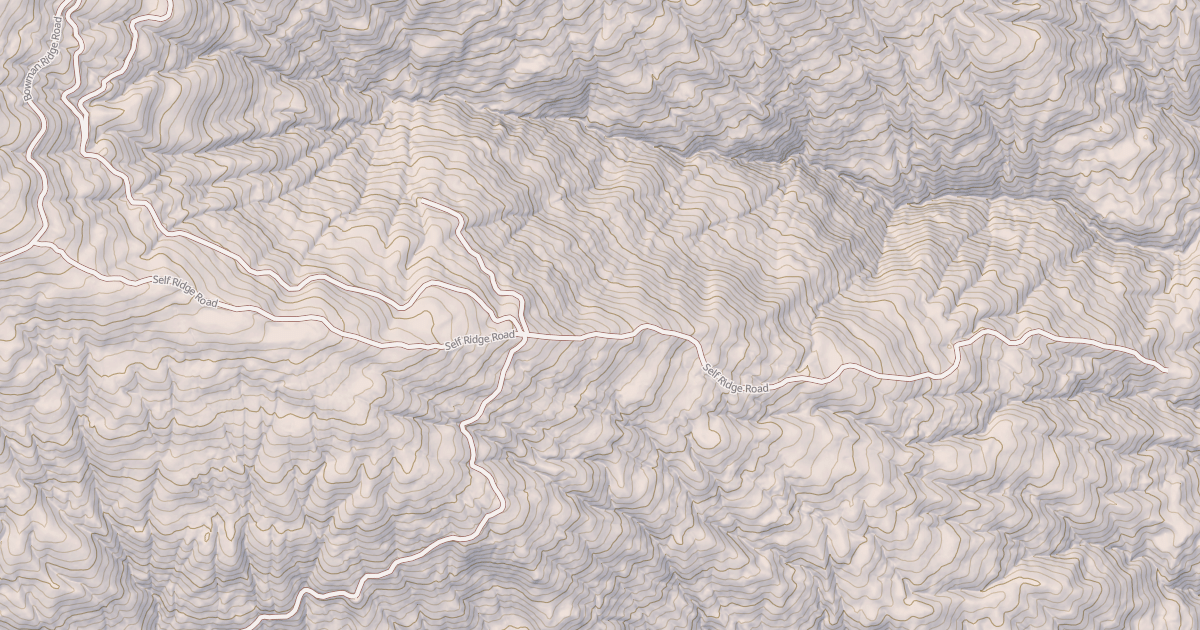Map preview of SELF RIDGE