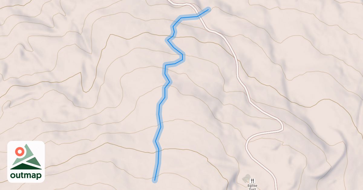 Map of Magic Forest