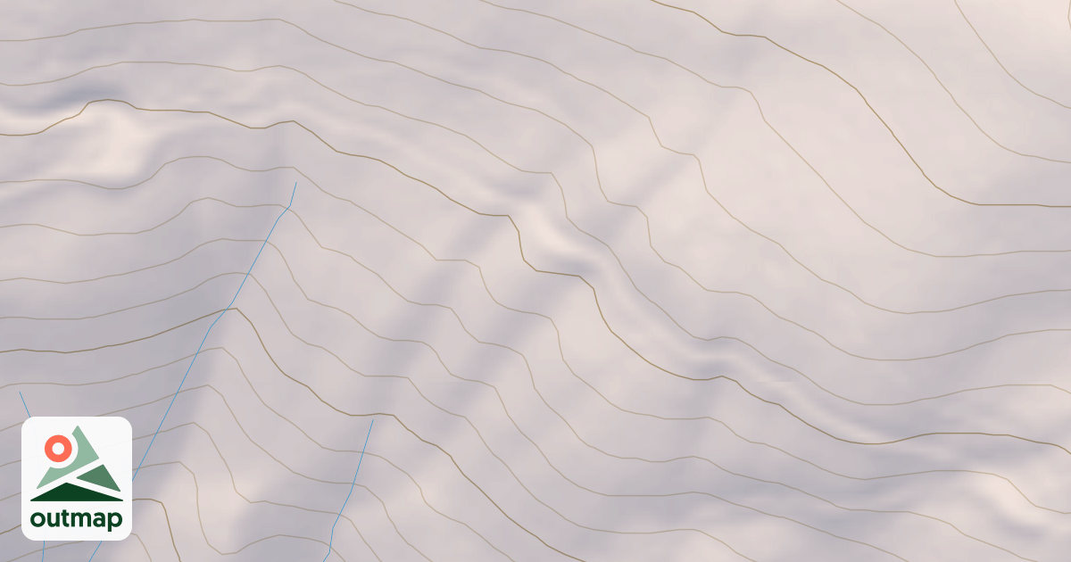 Map of DOG HAIR