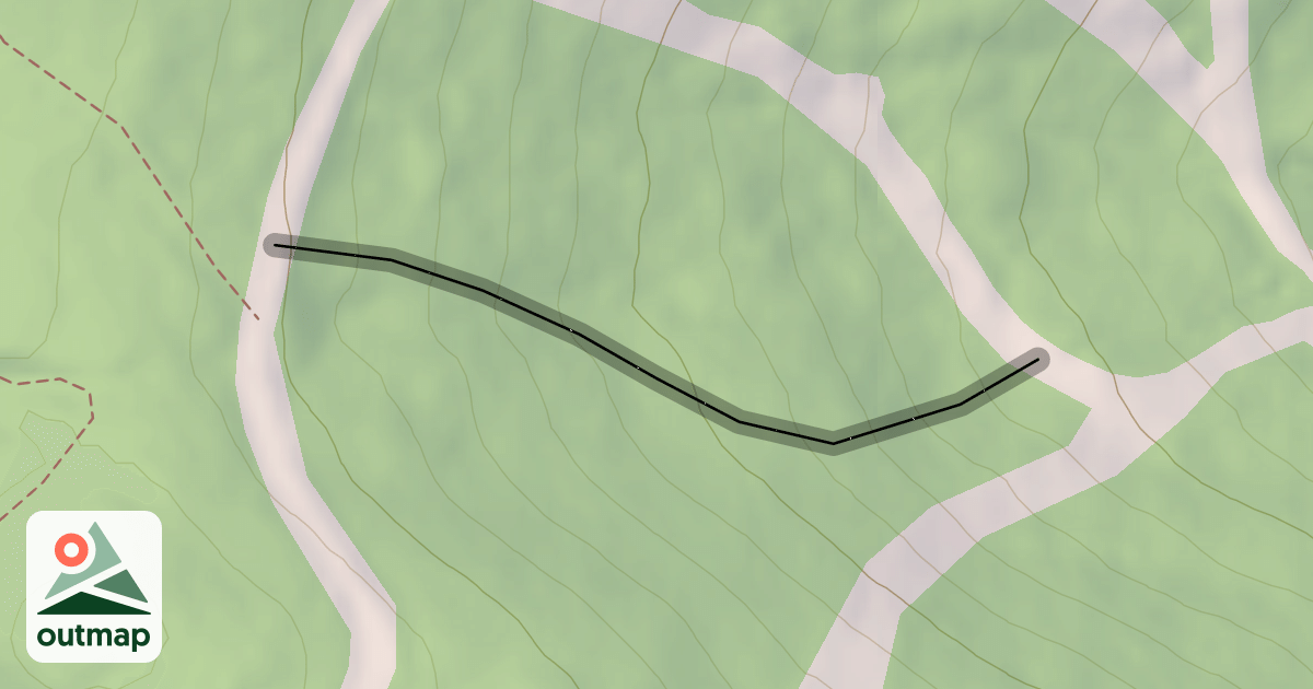 Map of Patsy's