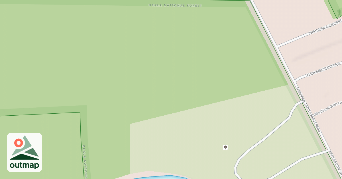 Map of USFS Motor Vehicle Use Map Roads {6C9CA9C3-55D5-4418-83BD-98C5D4882241}