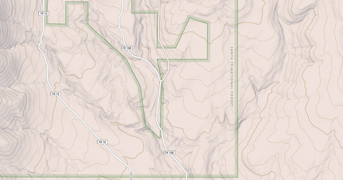 Map preview of USFS National Forest System Roads {AA3F4909-6969-4266-9C02-2FF493847057}