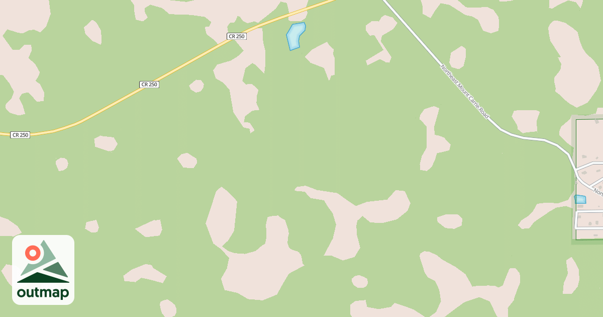 Map of USFS National Forest System Roads {D5A2049B-D17A-40BD-9877-217D4609DC8F}