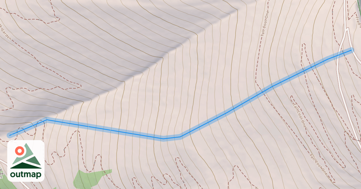 Map of Wild Willie