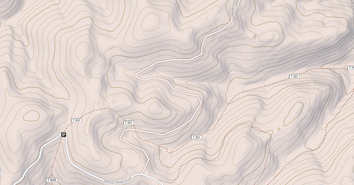 Map preview of USFS Motor Vehicle Use Map Roads {11ECB6AB-F240-43B9-8620-FC696026DEA6}