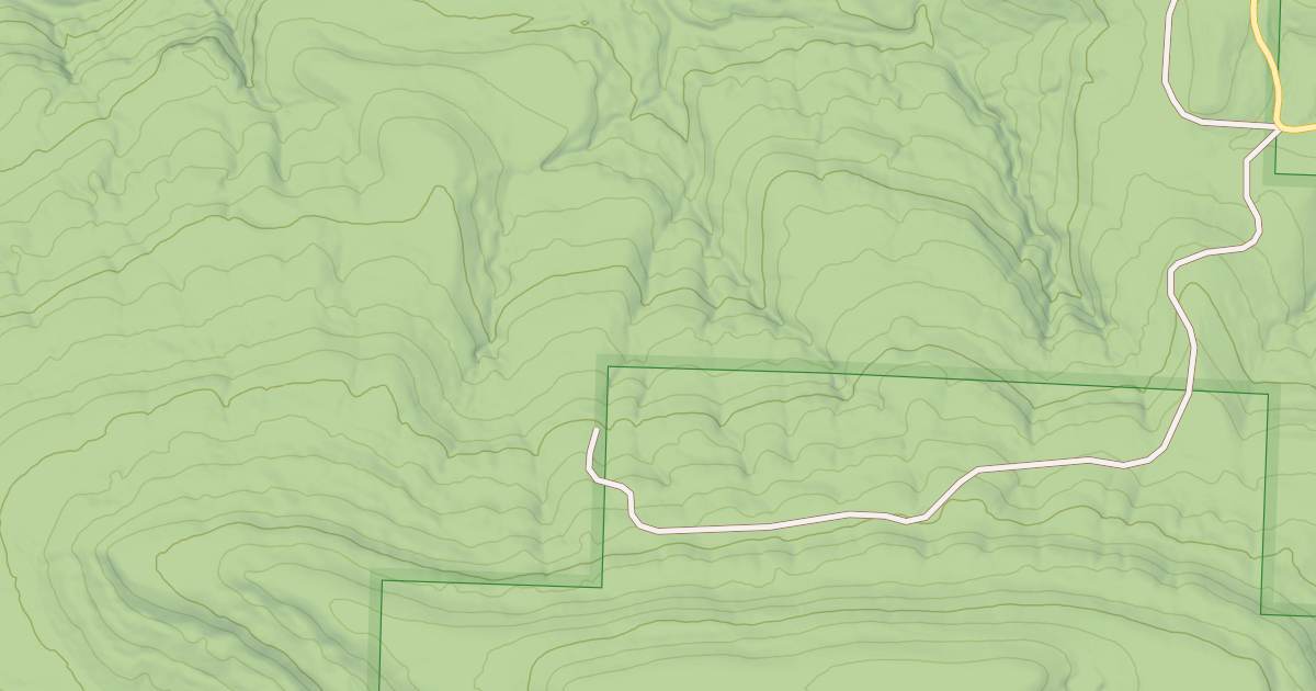 Map preview of USFS Motor Vehicle Use Map Roads {56C374A2-E336-4DFD-AB73-F57DA6C6EDFD}