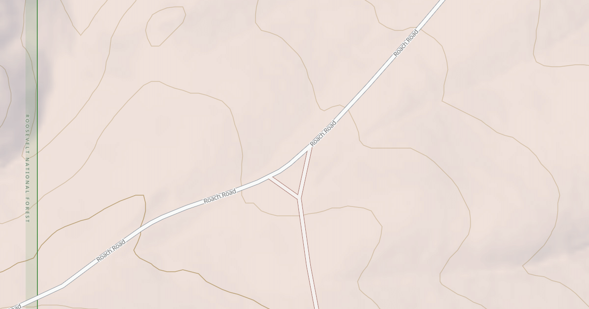 Map preview of BLM National GTLF Public Motorized Roads c861e239-8099-4222-b1fd-5f269990e1a0