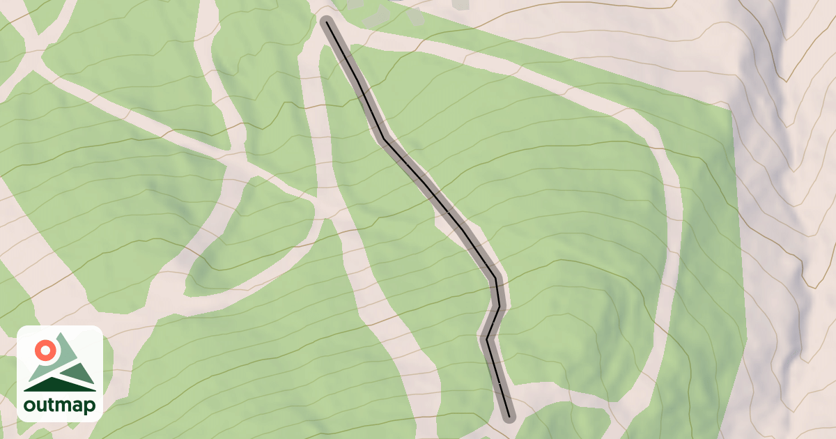 Map of Idiot's Option