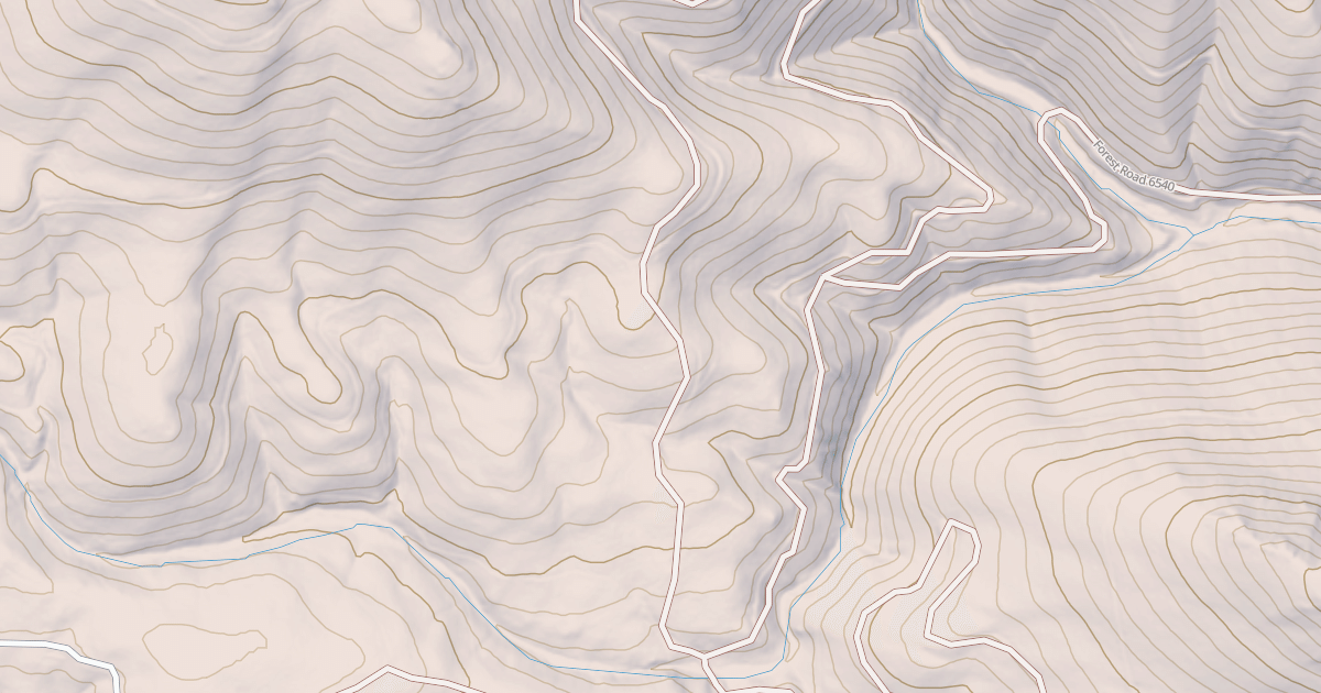 Map preview of USFS National Forest System Roads {44A65E07-E45B-43BB-A98A-BD37A1A09AD0}