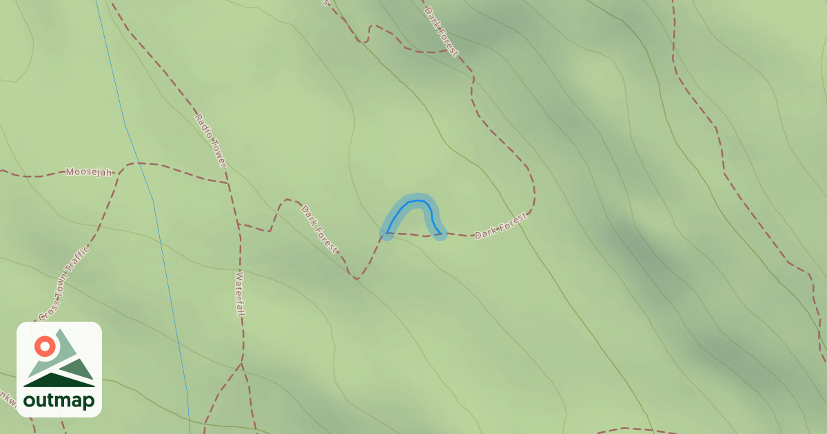 Map of Dark Forest