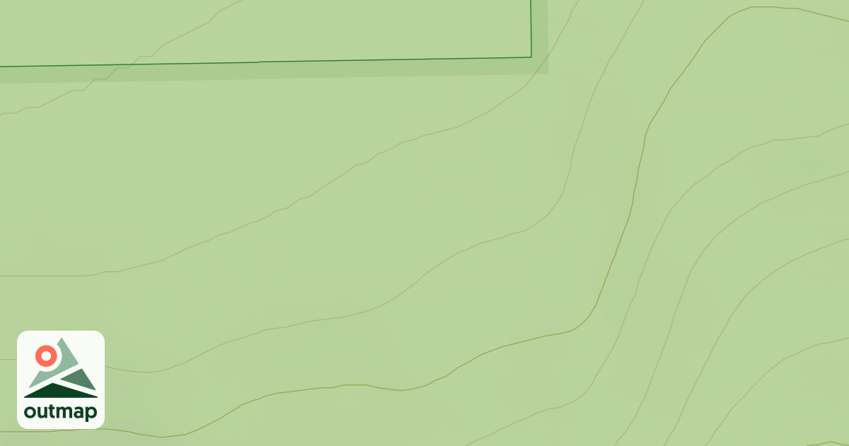 Map of USFS Motor Vehicle Use Map Roads {089921A5-E4D9-4DF2-A375-358FB121F36F}