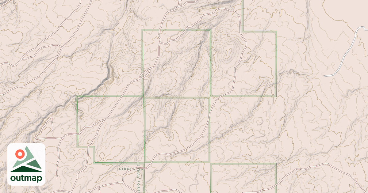 Map of USFS National Forest System Roads {63340E48-91D0-44C8-9B45-AB10591C3944}