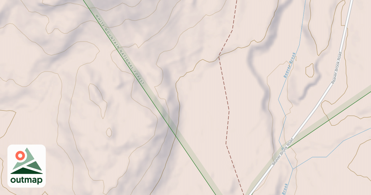 Map of Stoneham Snomo