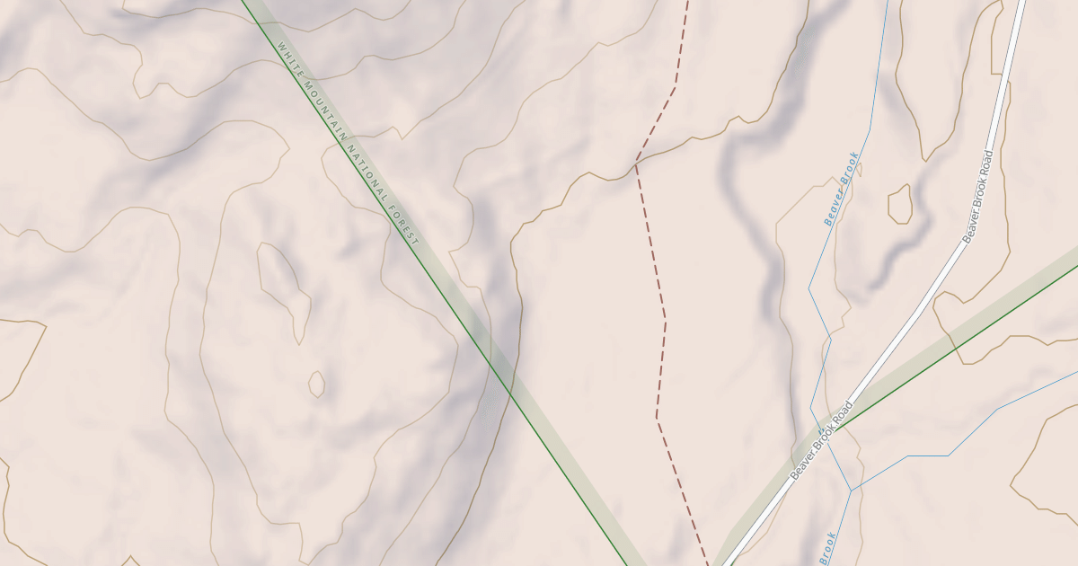 Map preview of Stoneham Snomo