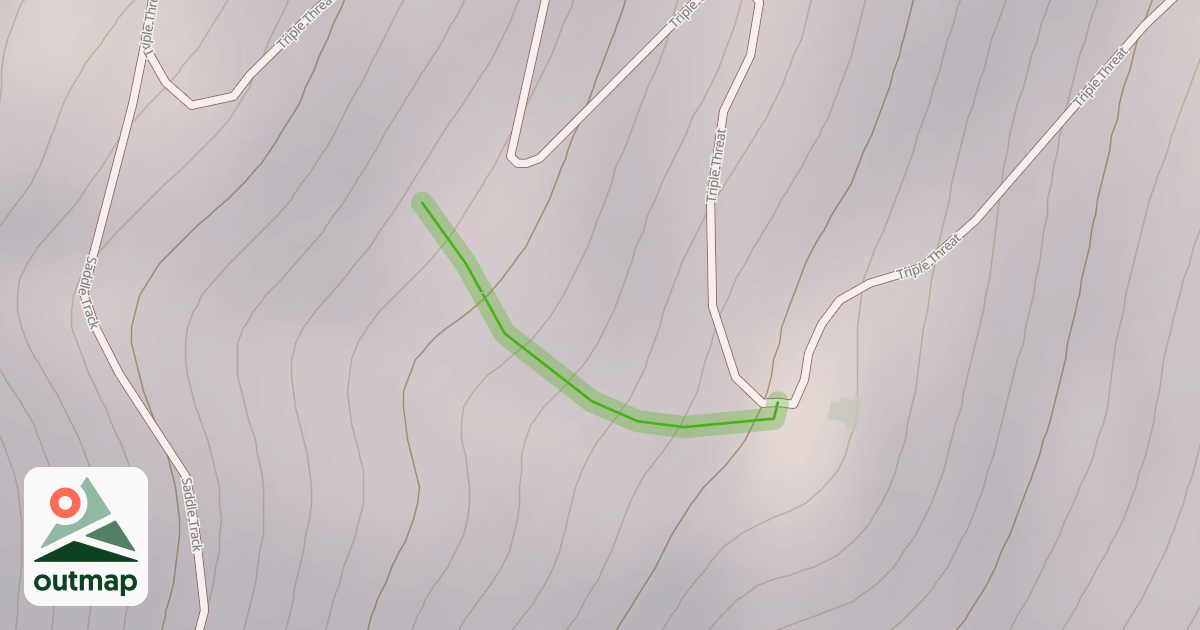 Map of Roller Coaster