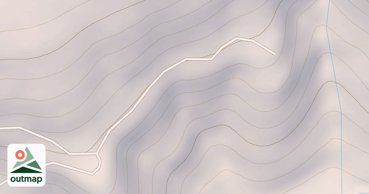 Map of ONION SKIN