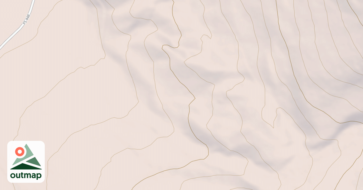 Map of USFS National Forest System Roads {09F2BAA9-B7B9-4FB4-8D8B-97CED723D52B}