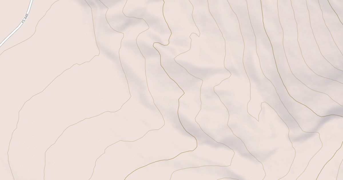 Map preview of USFS National Forest System Roads {09F2BAA9-B7B9-4FB4-8D8B-97CED723D52B}