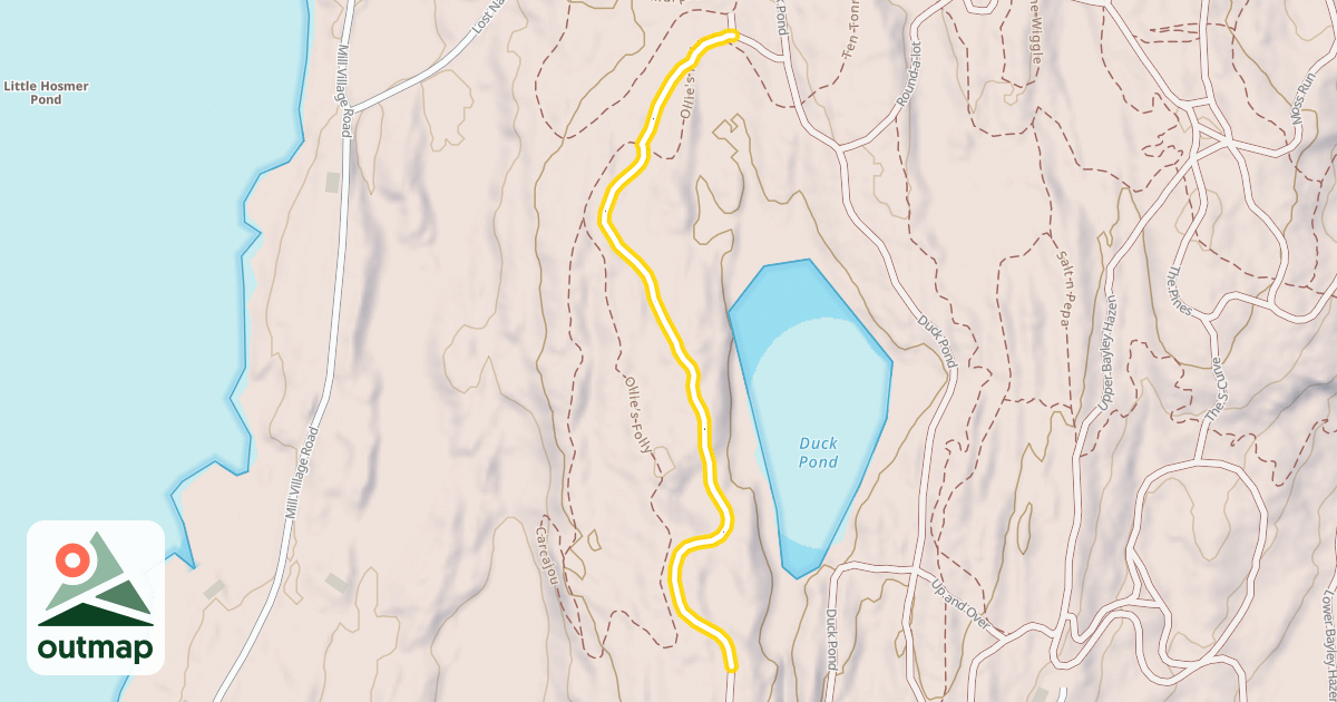 Map of Duck Pond