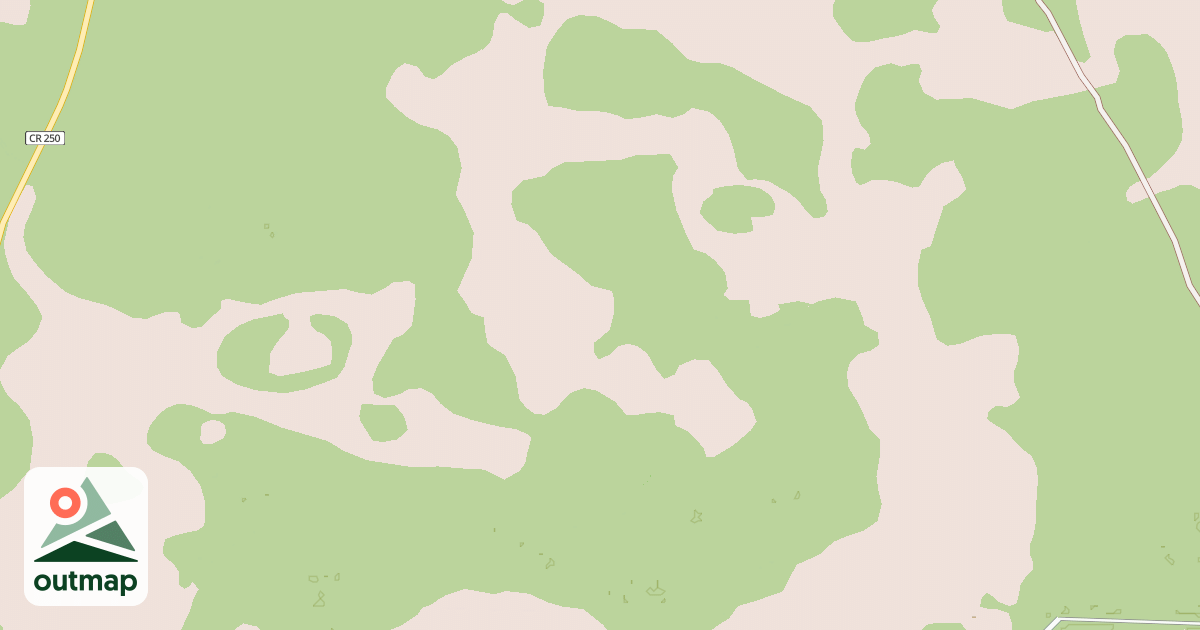 Map of USFS National Forest System Roads {6C6D4F58-B6B1-4831-9424-B47DF79103CE}